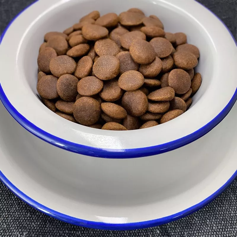FOLK raças médias e grandes especialidade de peixe da Cassúbia com maçãs, salsa e lovage - comida seca para cães - 12kg