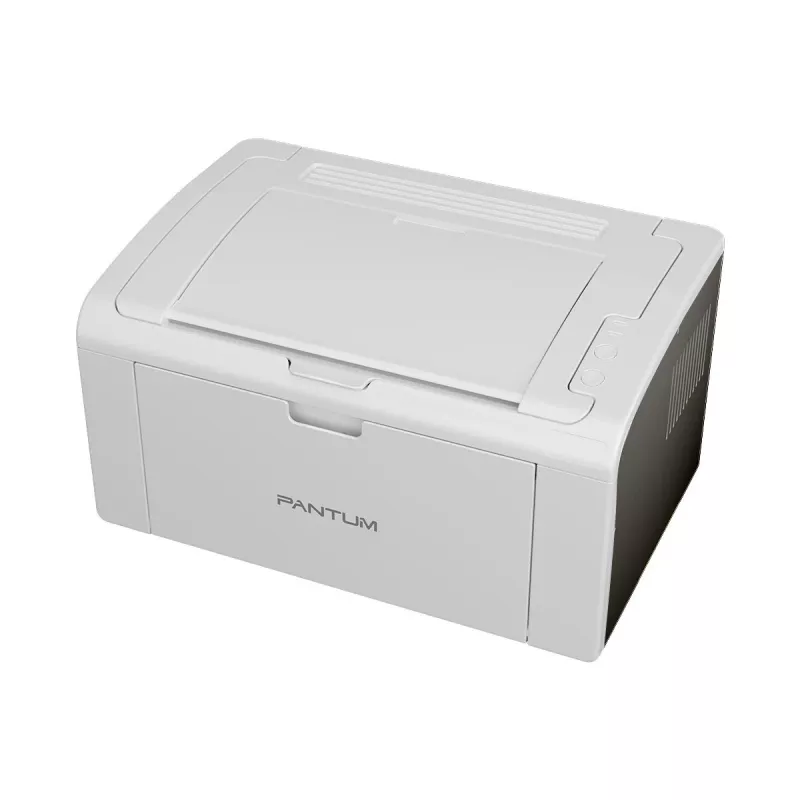 Impressora Pantum P2509W Laser branca