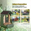 EASYPIX Bird Camera Easypix Bird Cam 10123 1080p HD visão noturna