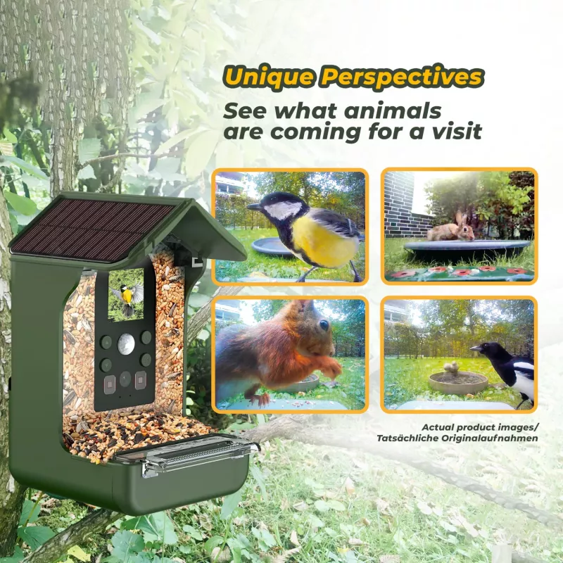 EASYPIX Bird Camera Easypix Bird Cam 10123 1080p HD visão noturna