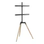 Suporte de chão para TV 32-65/TRIPOD TVS-65S-01 Gembird