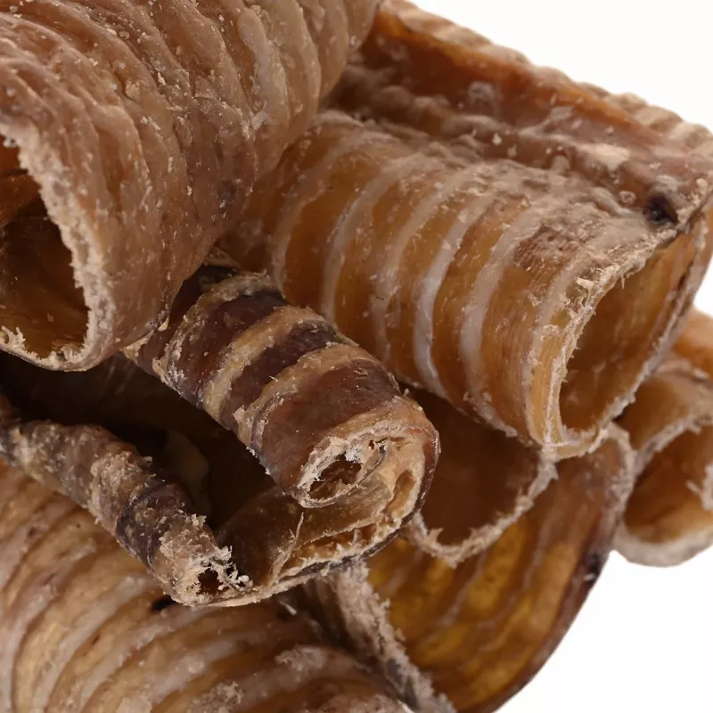 Snack para cães PETITTO traqueia de vaca 1 kg - osso mastigável de traqueia de vaca PETITTO
