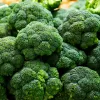 PNOS brócolo Caesar sementes de hortícolas, 2 g