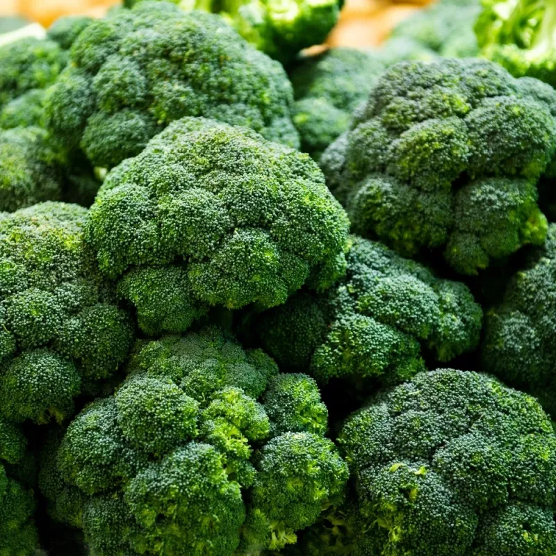 PNOS brócolo Caesar sementes de hortícolas, 2 g