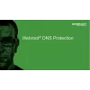 Webroot | DNS Protection com consola GSM | 1 ano | Quantidade de licenças 1-9 utilizadores