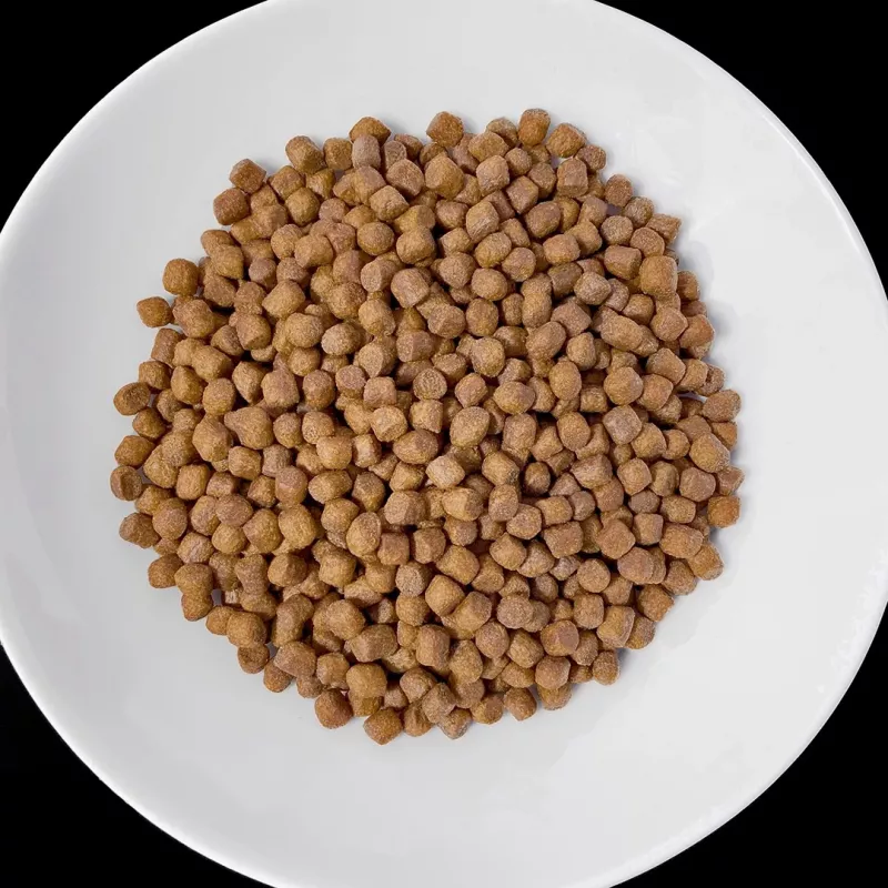 VET RESPONSE Renal - Alimento seco para cães - 8 kg