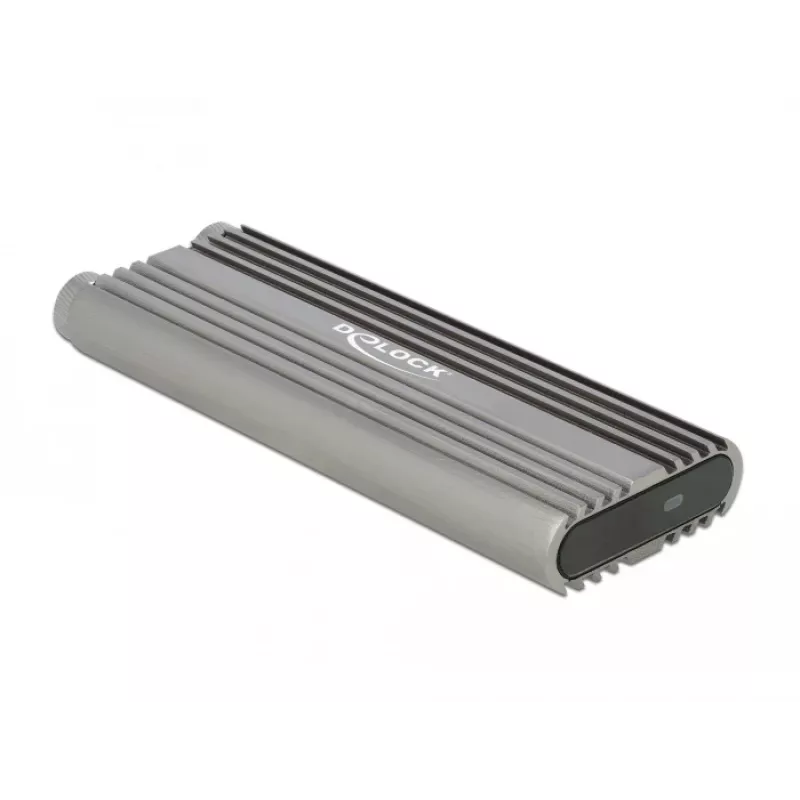Caixa para SSD DeLOCK 42001 prateado M.2