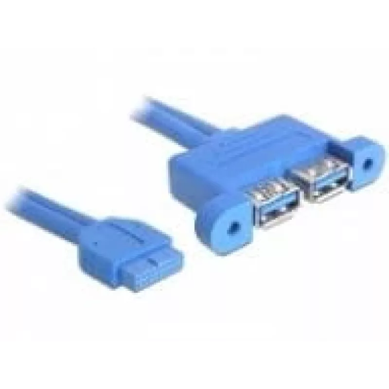 Cabo USB DeLOCK 82941 USB 3.2 Gen 1 0,45 m 2 x USB A azul