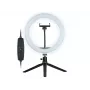 Anel de luz Tracer TRAOSW46747