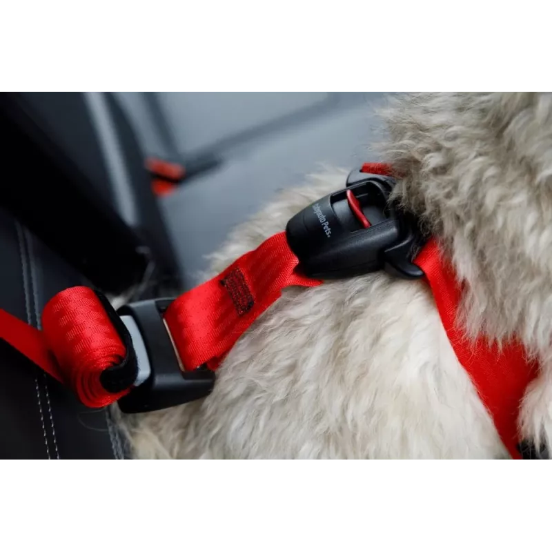 Arnês para cão ZOLUX TRAVEL SAFE M, tamanho M, vermelho