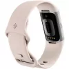 Fitbit GA05185-EU Produto Prateado