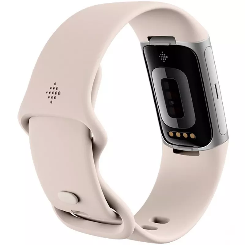 Fitbit GA05185-EU Produto Prateado