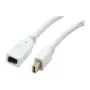 Synergy 21 S216366 - Mini DisplayPort - Mini DisplayPort - Ficha - Conector fêmea - Dourado - Branco (S216366)