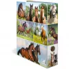 Dossier HERMA 19251 A4 multicolorido com anéis D 285x315 mm