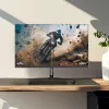 Monitor THOMSON M24FB2Y14 24 polegadas (61 cm) Full HD 1920x1080 VA LED, 14 ms, VESA, preto