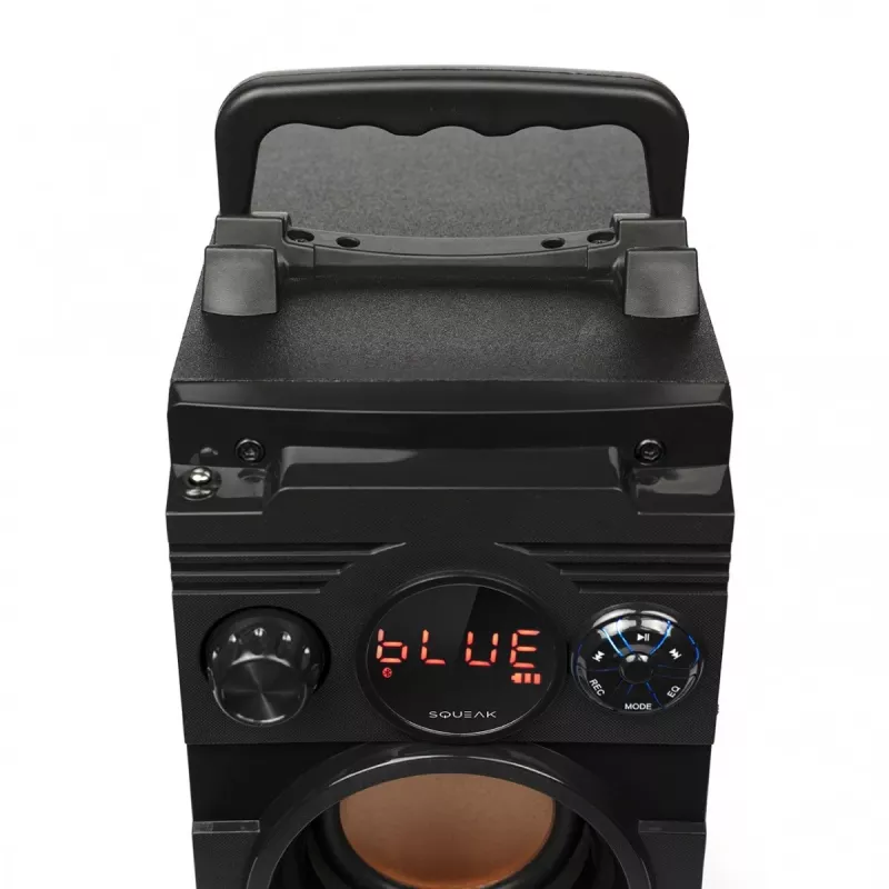 Altifalante Bluetooth 5.1 Squeak Bassblaster, rádio FM, leitor MP3 SQ1001