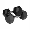 Halteres HEX em ferro fundido revestidos a borracha 2x10 kg REBEL ACTIVE