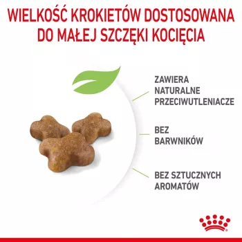 Ração seca para gatos Royal Canin Kitten 10 kg – frango, 36 % proteína, 18 % gordura, para gatinhos e gatas gestantes/lactantes
