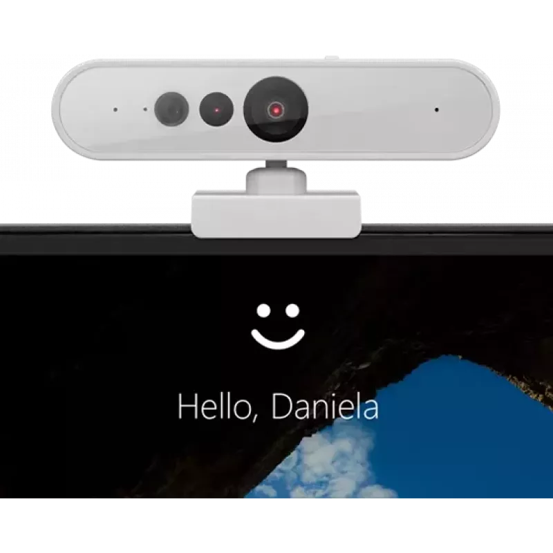 Webcam Lenovo GXC1D66063 2,8 MP 1920 x 1080 píxeis USB-C cinzento