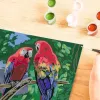 Ravensburger pintar por números - Papagaios coloridos