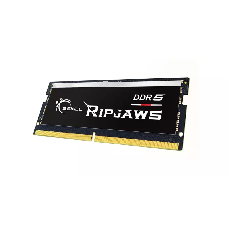 Módulo de memória G.Skill Ripjaws F5-4800S4039A16GX1-RS 16 GB 1 x 16 GB DDR5 4800 MHz