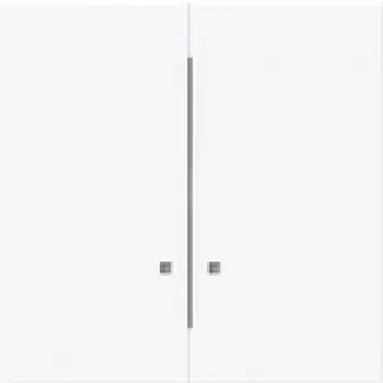 BUSCH JAEGER tecla 1785 K-44G com 2 metades de tecla (2CKA001751A3305)