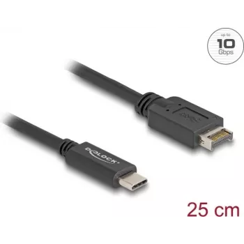 Cabo USB DeLOCK USB Type-E Key A 20 pinos macho para USB Type-C macho 25 cm