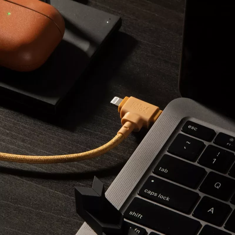 Cabo Native Union Belt USB-C/USB-C