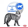 Comida húmida para gatos Royal Canin Indoor Sterilized 85 g saqueta — gatos adultos esterilizados de interior, sabor a aves, pack de 12 x 85 g