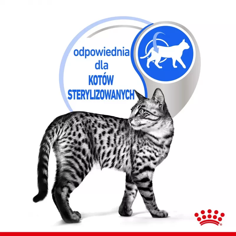 Comida húmida para gatos Royal Canin Indoor Sterilized 85 g saqueta — gatos adultos esterilizados de interior, sabor a aves, pack de 12 x 85 g