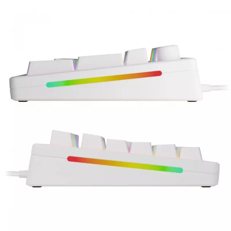 Glorious PC Gaming Race GMMK 3 HE 100% teclado gaming pré-montado branco LEDs RGB Glorious Fox HE USB