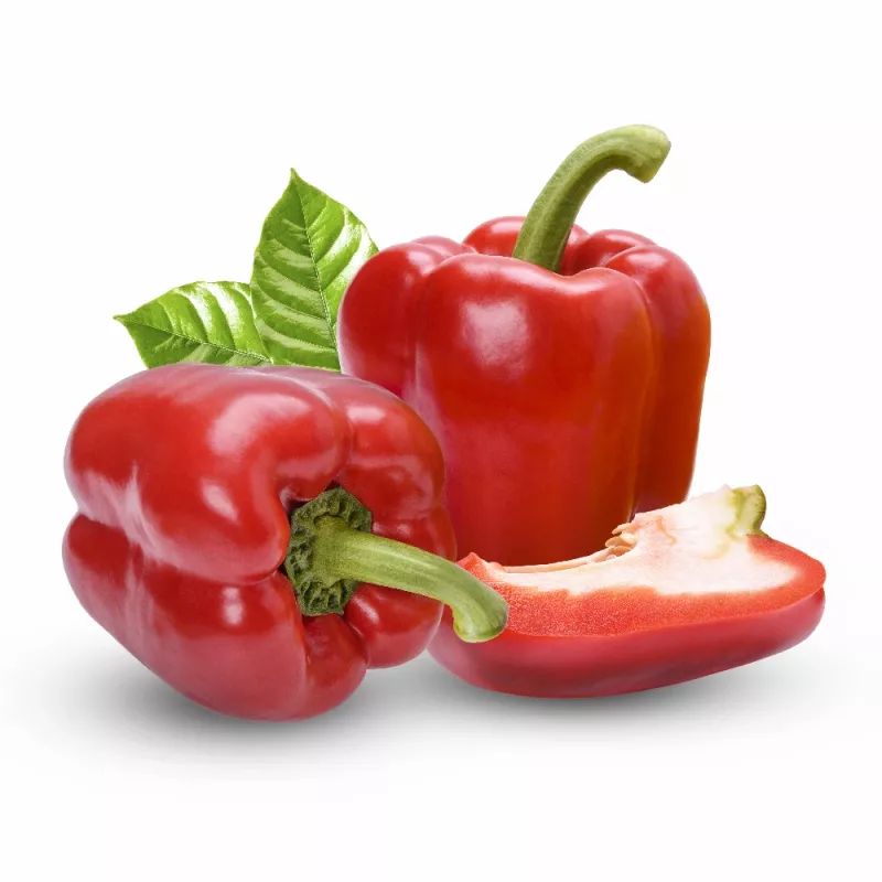 PNOS pimento Ozarowska sementes revestidas, embalagem de 50