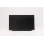 Lenovo 02HL701 Painel LCD HD TN de 13,3 polegadas, antirreflexo, 250 nits