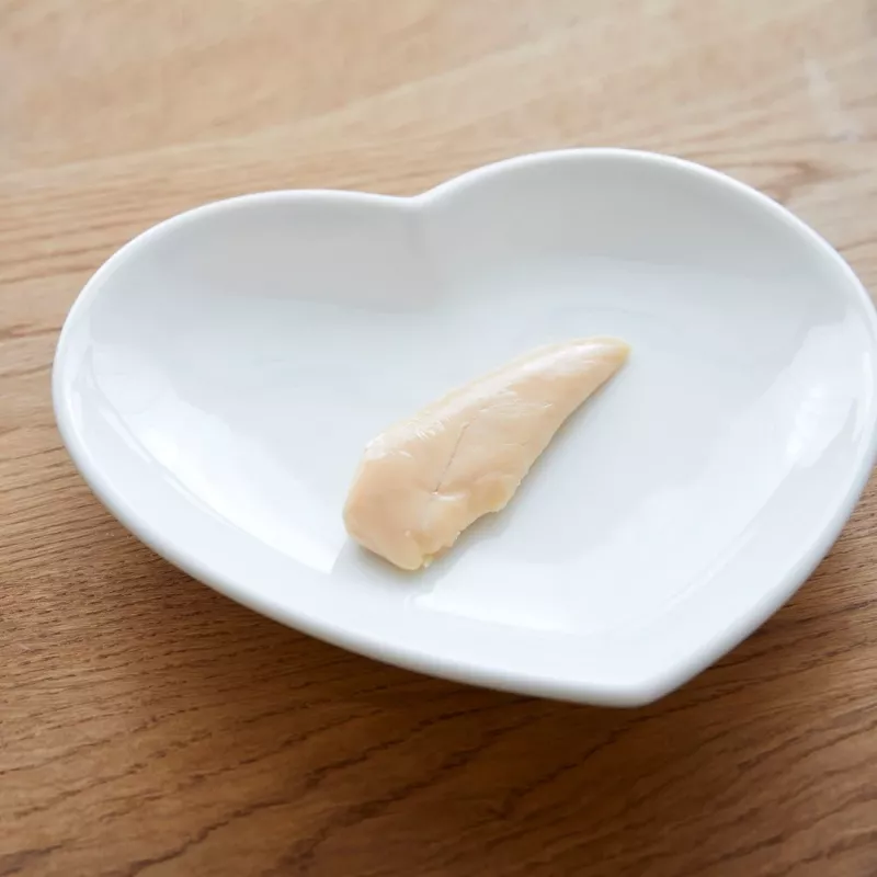 INABA Ciao Filete de Frango Grelhado em Caldo com Sabor a Frango - Petiscos para gatos - 25g