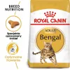 Royal Canin FBN Bengal Adult alimento seco para gatos, 10 kg