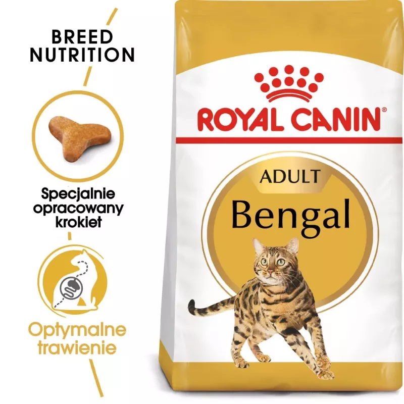 Royal Canin FBN Bengal Adult alimento seco para gatos, 10 kg
