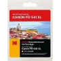 185C054131 KODAK CAN. MG3150 TINTE COL 5226B005/CL541XL 400 páginas 15ml (185C054131)