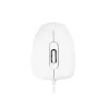 MODECOM M10 M-MC-0M10-200 rato (ótico, 1000 DPI, cor branca) (M-MC-0M10-200)
