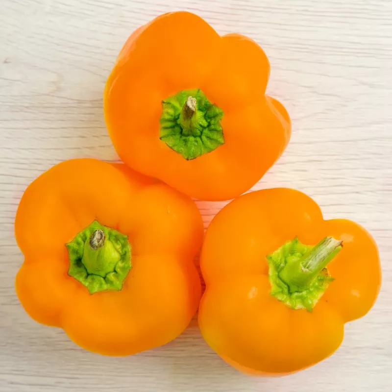 PNOS pimento Etiuda sementes de hortícolas, 0,5 g