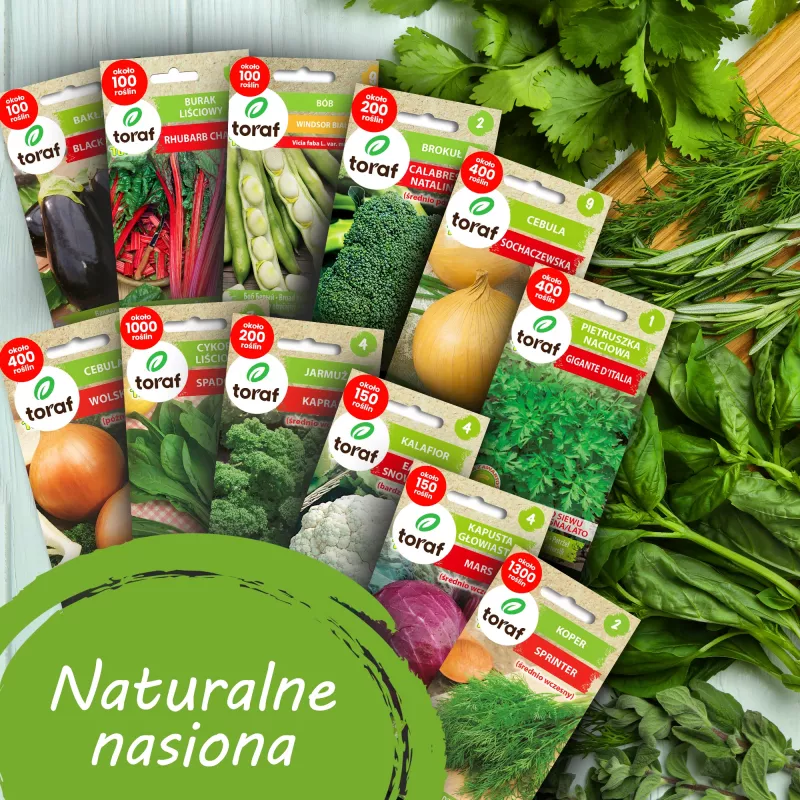Conjunto de sementes de hortícolas Toraf Harmonia – 12 embalagens