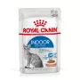 Comida húmida para gatos Royal Canin Indoor Sterilized 12 x 85 g — aves, gatos adultos esterilizados de interior