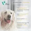 Cápsulas multivitamínicas VETEXPERT 30 unidades para cães e gatos – vitalidade, apoio às articulações, sem conservantes e sem glúten