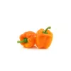 PNOS pimento Etiuda sementes de hortícolas, 0,5 g