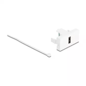 Módulo Keystone DeLOCK 90911
