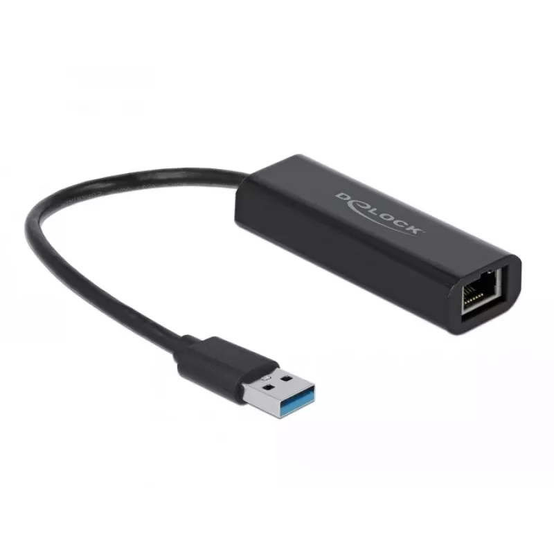 DeLOCK 66299 adaptador USB-A para LAN 2,5 Gigabit