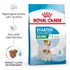 Ração seca para cães Royal Canin Starter Mother & Babydog 1 kg — frango, 30% proteína, 22% gordura