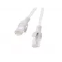 Lanberg PCU5-20CC-0100-S Cabo patch Cat.5e UTP, 1 m, Cinzento, pack de 10