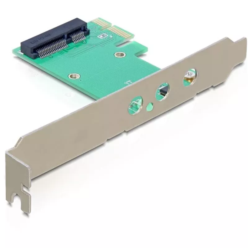 Placa de interface DeLOCK 89294