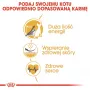 Royal Canin Sphynx Adult alimento seco para gatos, 2 kg