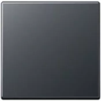 Placa de cobertura Jung A 590 BF ANM antracite para programas de interruptores compatíveis, proteção IP44
